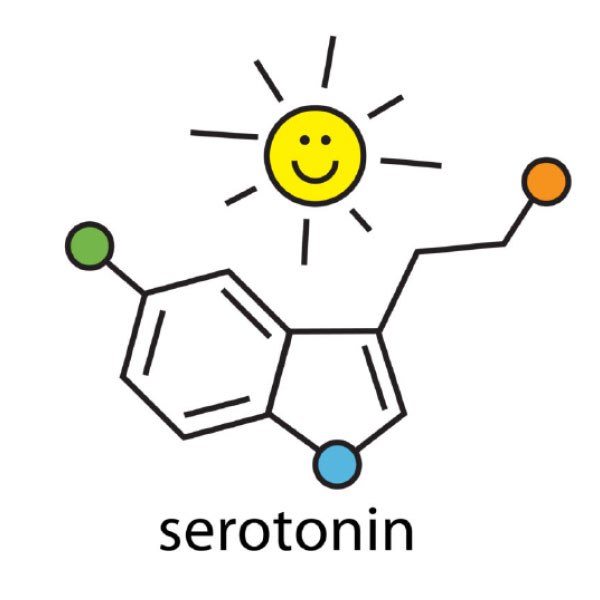 Sonne und Serotonin